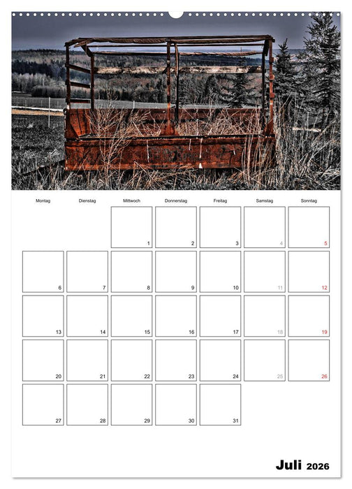 schwarz/weiß trifft farbe - DEIN TERMINKALENDER / Planer (CALVENDO Premium Wandkalender 2026)