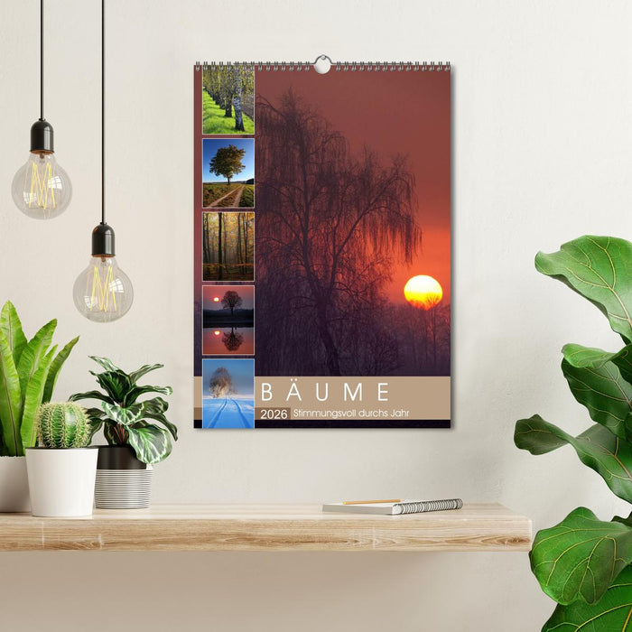 Bäume - Stimmungsvoll durchs Jahr (CALVENDO Wandkalender 2026)