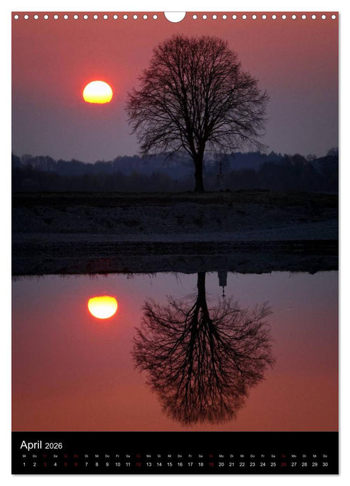 Bäume - Stimmungsvoll durchs Jahr (CALVENDO Wandkalender 2026)