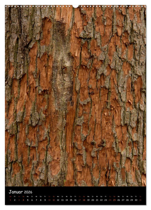 Baumrinde 2026 (CALVENDO Premium Wandkalender 2026)
