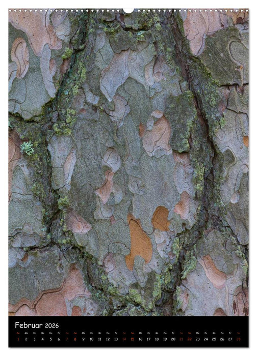 Baumrinde 2026 (CALVENDO Premium Wandkalender 2026)