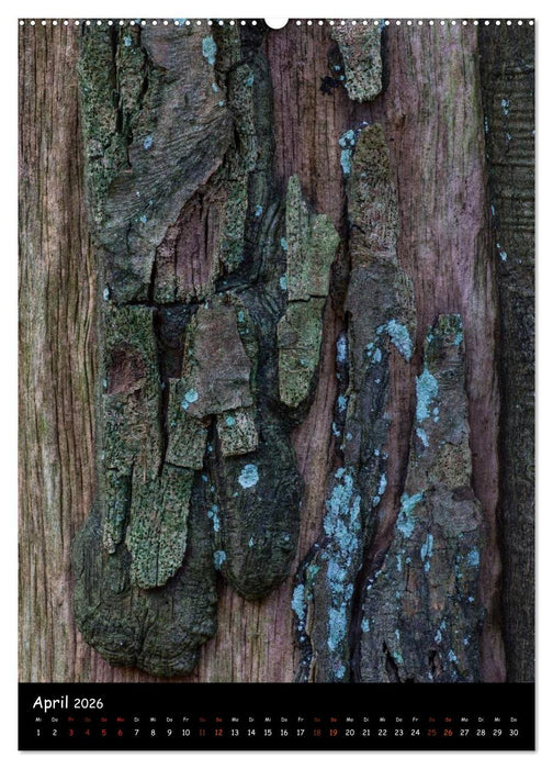 Baumrinde 2026 (CALVENDO Premium Wandkalender 2026)