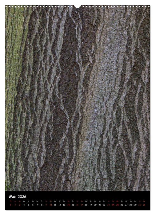 Baumrinde 2026 (CALVENDO Premium Wandkalender 2026)