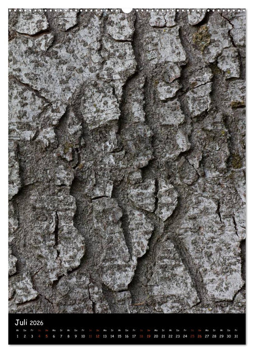 Baumrinde 2026 (CALVENDO Premium Wandkalender 2026)