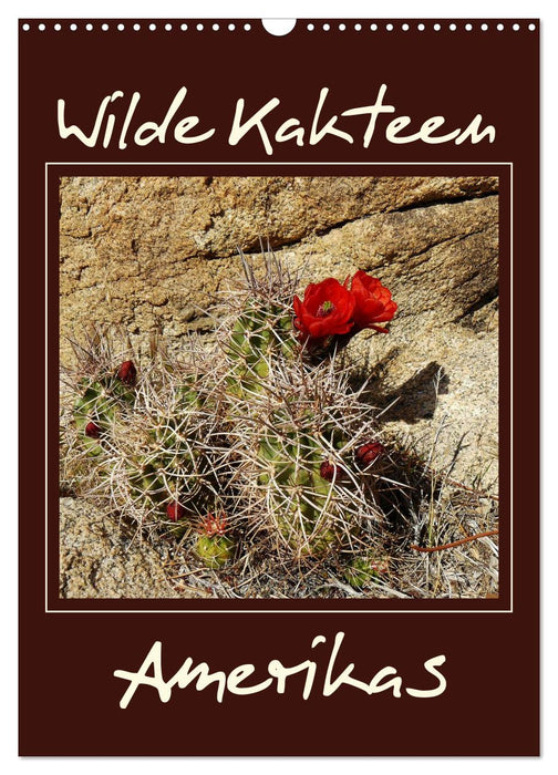 Wilde Kakteen Amerikas (CALVENDO Wandkalender 2026)
