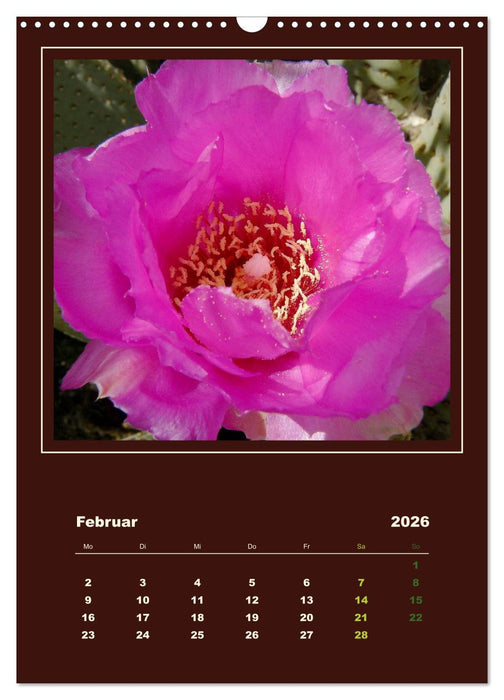 Wilde Kakteen Amerikas (CALVENDO Wandkalender 2026)