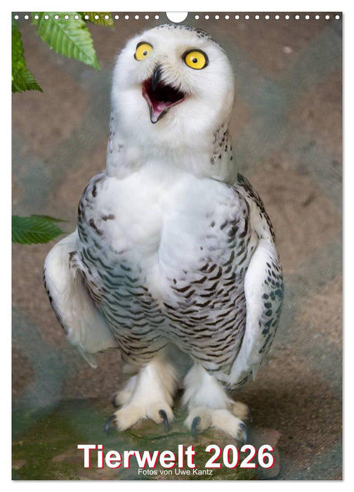 Tiere (CALVENDO Wandkalender 2026)