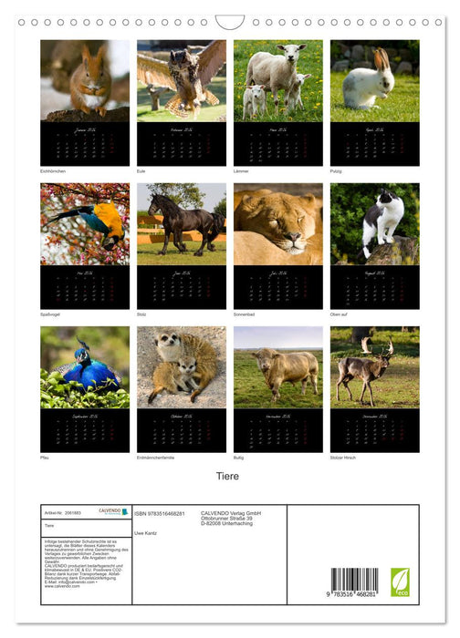 Tiere (CALVENDO Wandkalender 2026)
