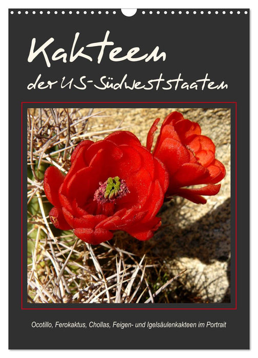 Kakteen der US-Südweststaaten (CALVENDO Wandkalender 2026)