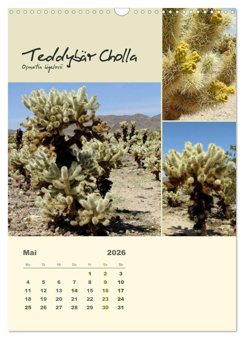 Kakteen der US-Südweststaaten (CALVENDO Wandkalender 2026)
