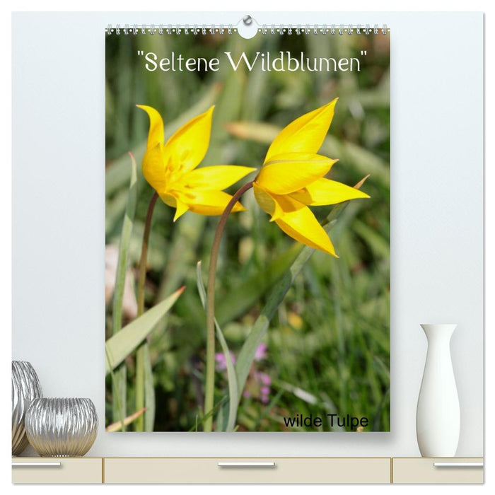 Seltene Wildblumen (CALVENDO Premium Wandkalender 2026)