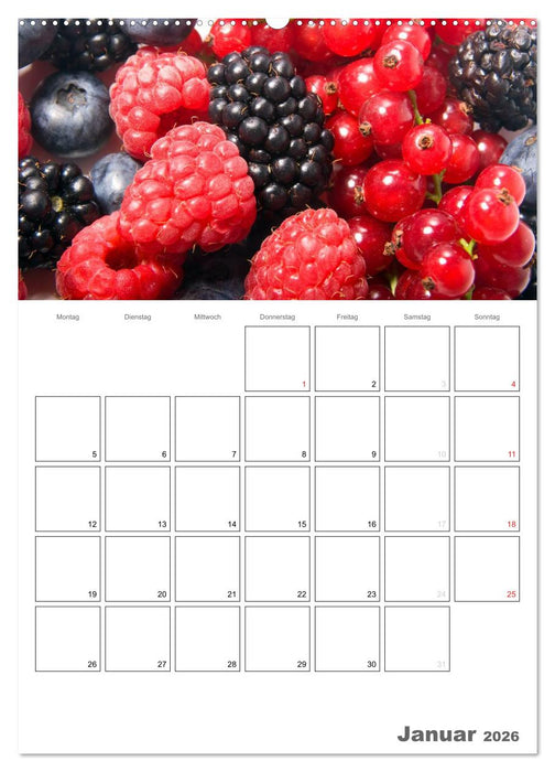 Frische Küche - Der hilfreiche Monatsplaner / Planer (CALVENDO Wandkalender 2026)