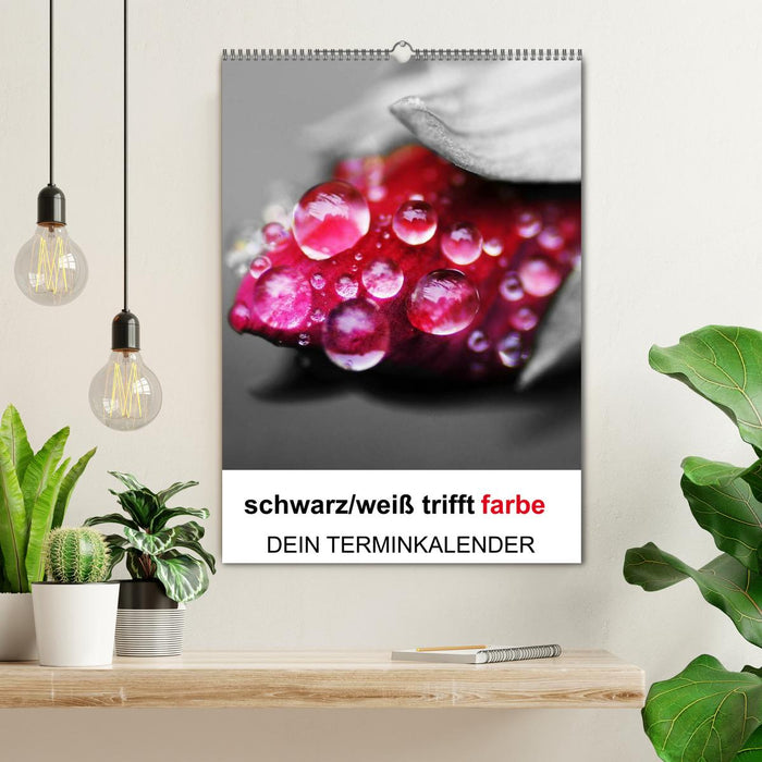 schwarz/weiß trifft farbe - DEIN TERMINKALENDER / Planer (CALVENDO Wandkalender 2026)