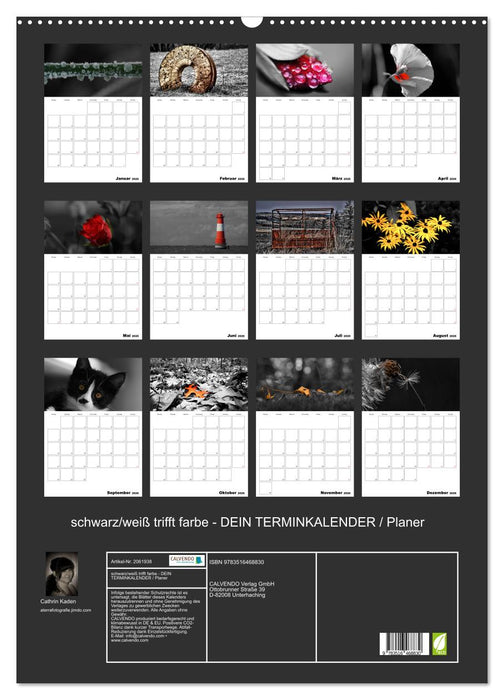schwarz/weiß trifft farbe - DEIN TERMINKALENDER / Planer (CALVENDO Wandkalender 2026)