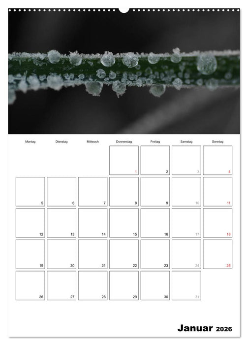 schwarz/weiß trifft farbe - DEIN TERMINKALENDER / Planer (CALVENDO Wandkalender 2026)