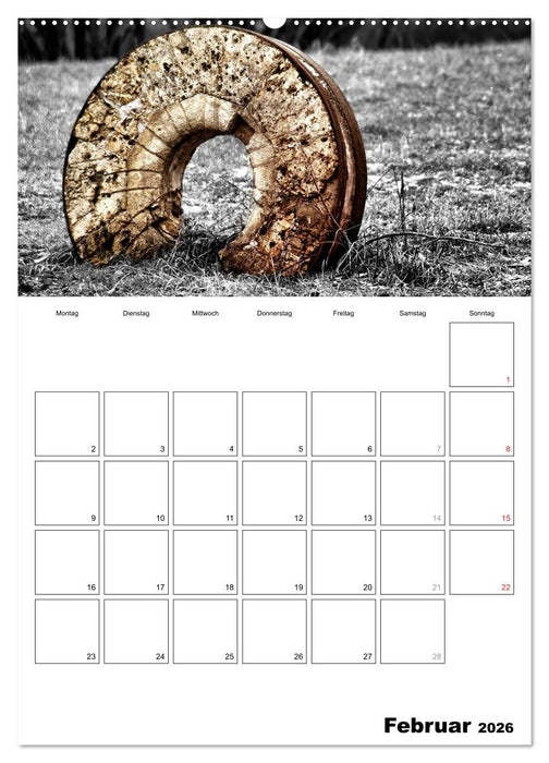 schwarz/weiß trifft farbe - DEIN TERMINKALENDER / Planer (CALVENDO Wandkalender 2026)