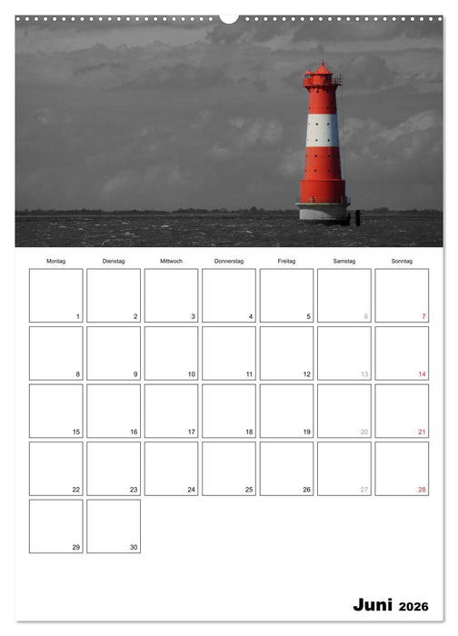 schwarz/weiß trifft farbe - DEIN TERMINKALENDER / Planer (CALVENDO Wandkalender 2026)