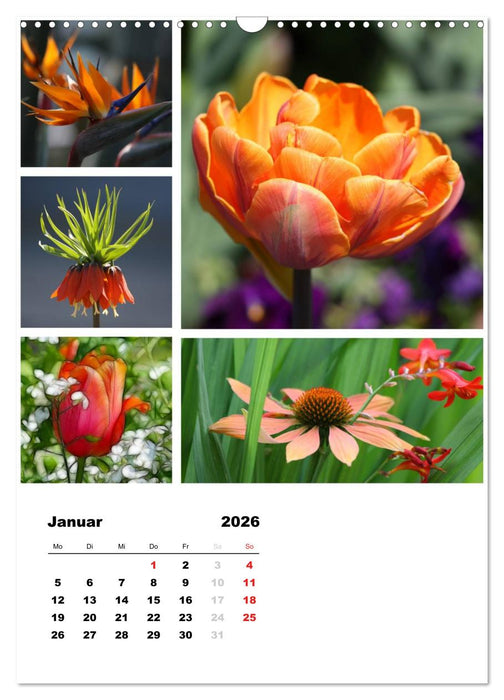 Blüten Collagen (CALVENDO Wandkalender 2026)