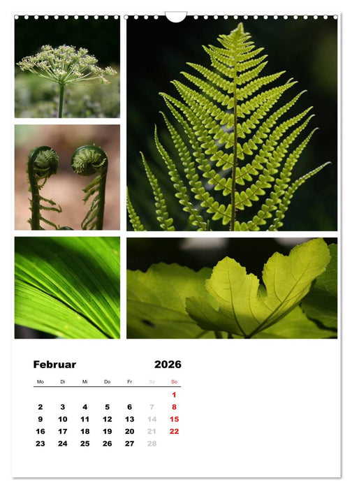 Blüten Collagen (CALVENDO Wandkalender 2026)