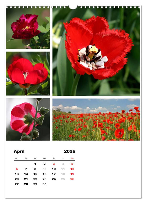 Blüten Collagen (CALVENDO Wandkalender 2026)