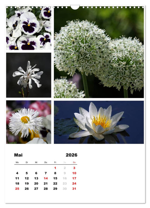 Blüten Collagen (CALVENDO Wandkalender 2026)