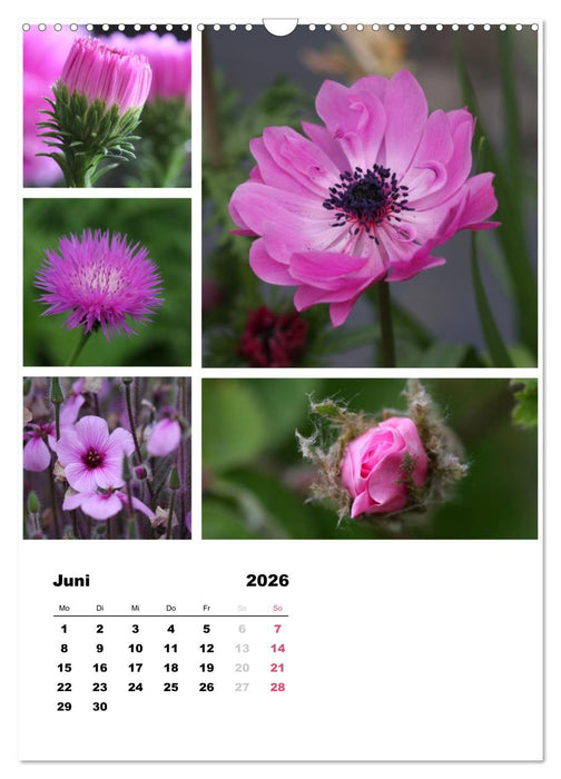 Blüten Collagen (CALVENDO Wandkalender 2026)