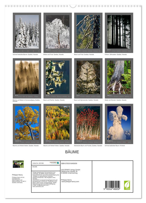 BÄUME (CALVENDO Premium Wandkalender 2026)