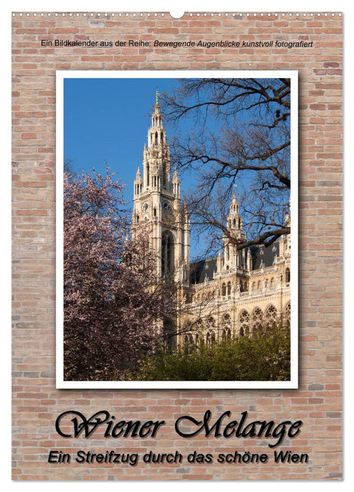 Wiener Melange - Ein Streifzug durch das schöne Wien (CALVENDO Wandkalender 2026)