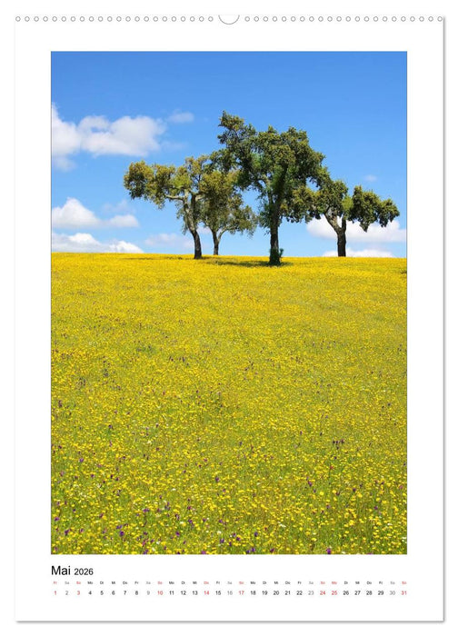Portugal (CALVENDO Premium Wandkalender 2026)