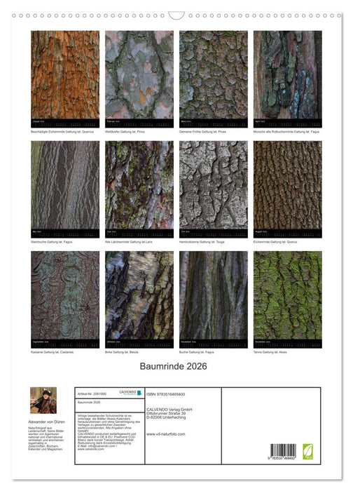 Baumrinde 2026 (CALVENDO Wandkalender 2026)