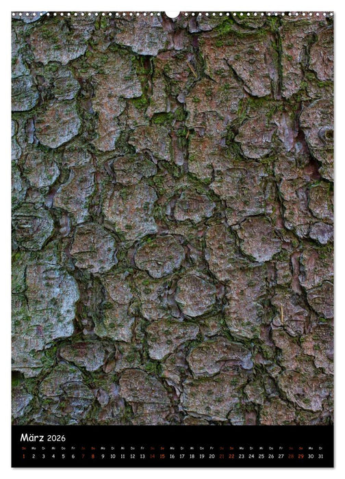 Baumrinde 2026 (CALVENDO Wandkalender 2026)
