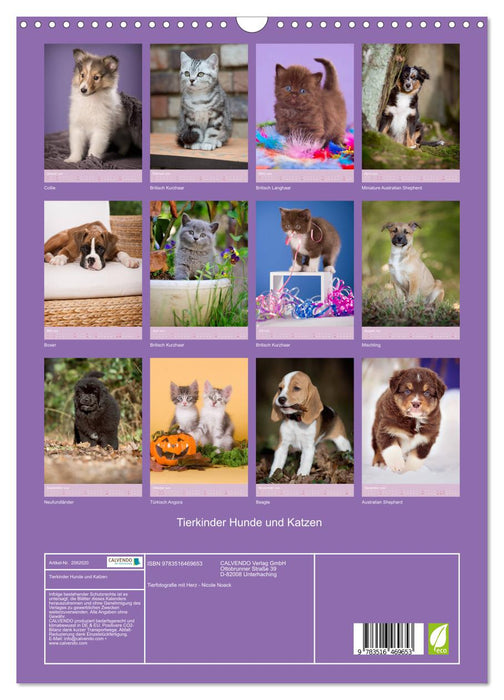 Tierkinder Hunde und Katzen (CALVENDO Wandkalender 2026)