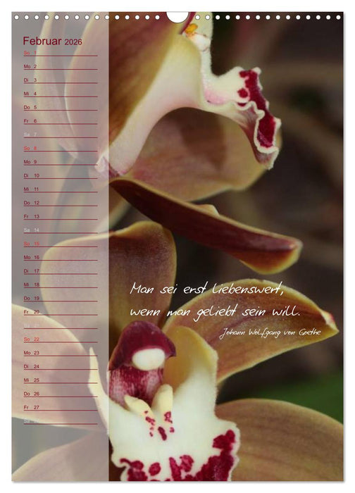 Blumen & Zitate / Geburtstagskalender (CALVENDO Wandkalender 2026)