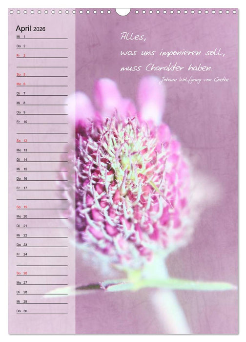 Blumen & Zitate / Geburtstagskalender (CALVENDO Wandkalender 2026)