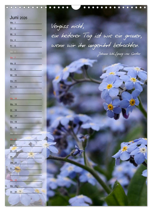 Blumen & Zitate / Geburtstagskalender (CALVENDO Wandkalender 2026)