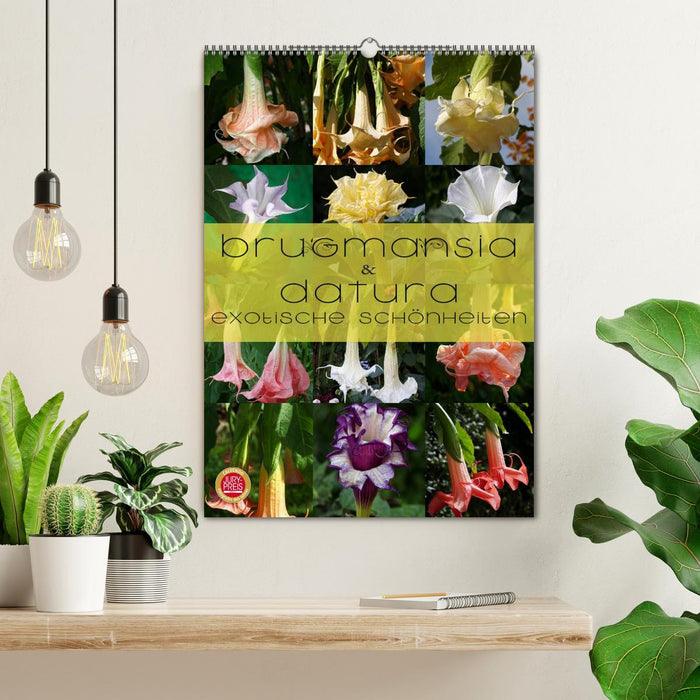 Brugmansia & Datura - Exotische Schönheiten (CALVENDO Wandkalender 2026)