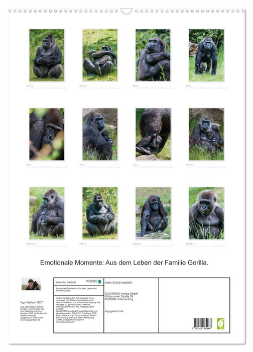 Emotionale Momente: Aus dem Leben der Familie Gorilla. (CALVENDO Wandkalender 2026)