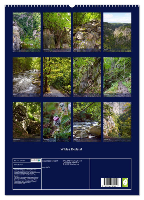 Wildes Bodetal (CALVENDO Premium Wandkalender 2026)