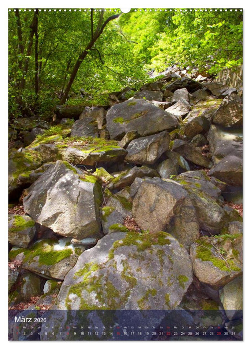 Wildes Bodetal (CALVENDO Premium Wandkalender 2026)