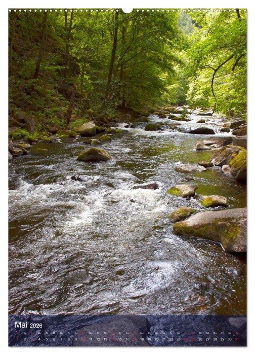 Wildes Bodetal (CALVENDO Premium Wandkalender 2026)