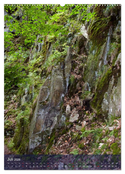 Wildes Bodetal (CALVENDO Premium Wandkalender 2026)