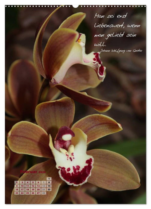 Blumen & Zitate (CALVENDO Premium Wandkalender 2026)