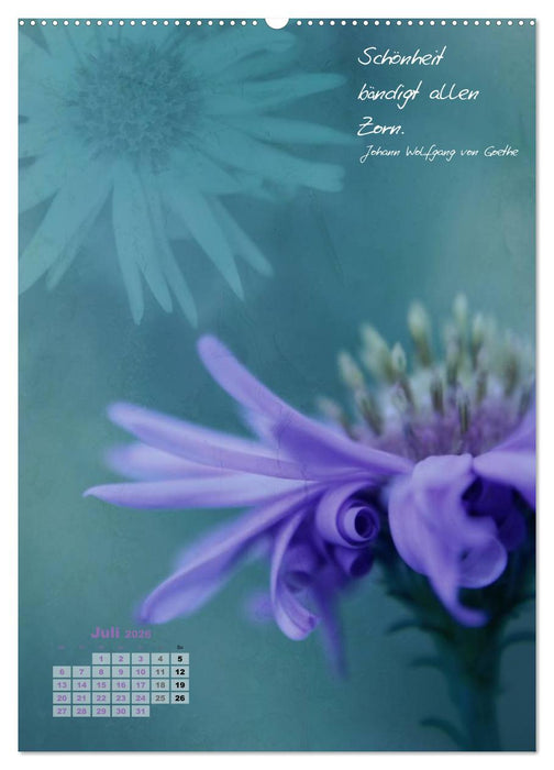 Blumen & Zitate (CALVENDO Premium Wandkalender 2026)