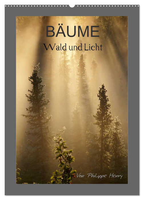 BÄUME (CALVENDO Wandkalender 2026)