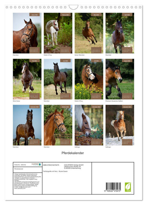 Pferdekalender (CALVENDO Wandkalender 2026)