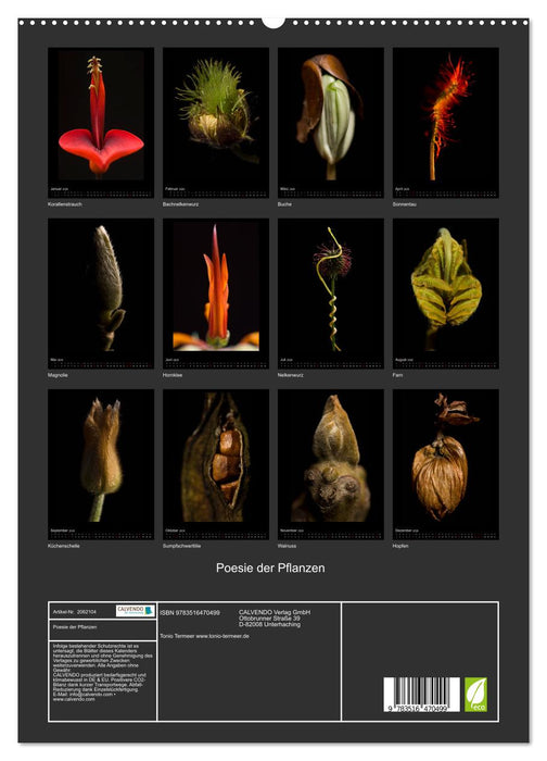 Poesie der Pflanzen (CALVENDO Premium Wandkalender 2026)