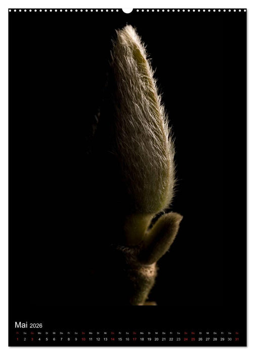 Poesie der Pflanzen (CALVENDO Premium Wandkalender 2026)