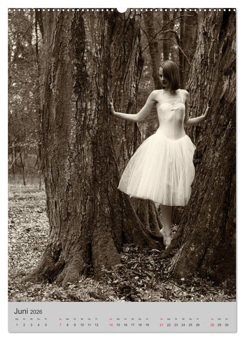 Ballerina (CALVENDO Wandkalender 2026)