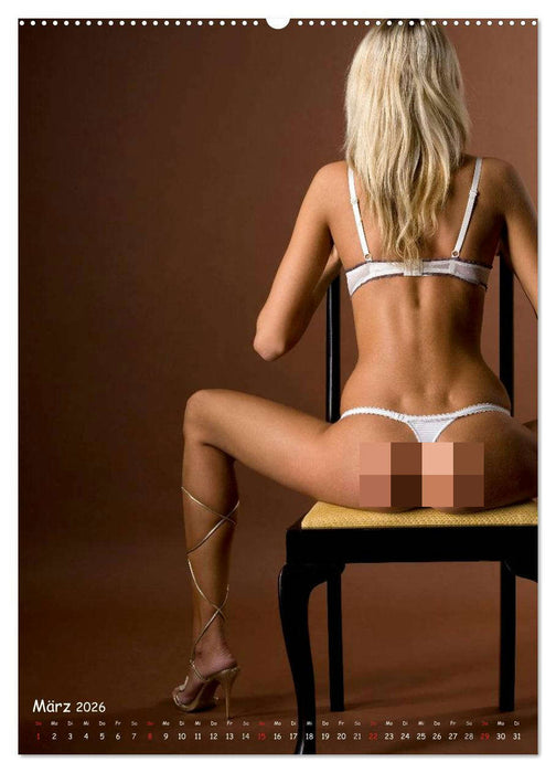 Ansichtssache - Einblicke neu definiert... (CALVENDO Premium Wandkalender 2026)