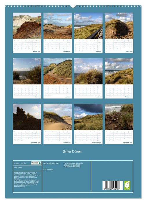 Sylter Dünen (CALVENDO Premium Wandkalender 2026)